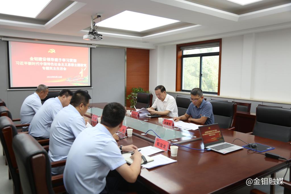 20230913-秦国政副总经理指导ty8天游平台登录建设主题教育专题民主生活会 (6).JPG